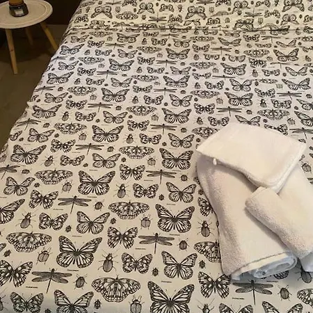 Апартаменты Petit Nid Douillet Mitoyen A