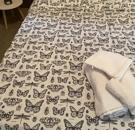 Апартаменты Petit Nid Douillet Mitoyen A